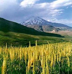 250px-Damavand3
