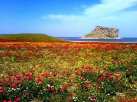 Beautiful Pictures of Iran (4)