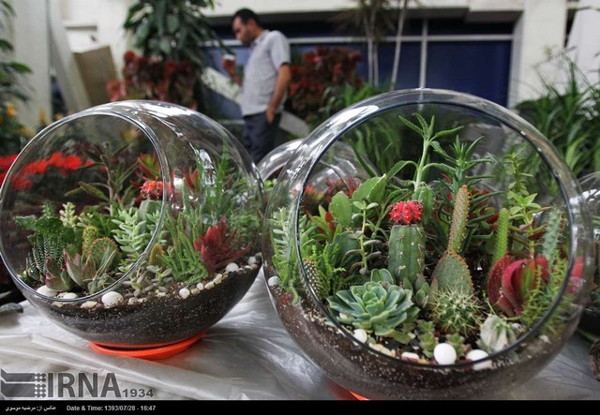 Tehran - 6th Flowers and Plants Exhibition 06