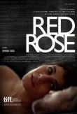 Farsi, Sepideh - Film 2014 - Red Rose - Poster